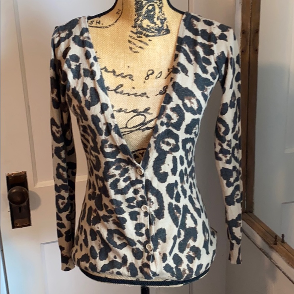 Beautiful Cheetah Sweater